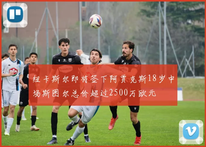 纽卡斯尔即将签下阿贾克斯18岁中场斯图尔总价超过2500万欧元